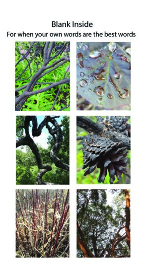 BC Trees