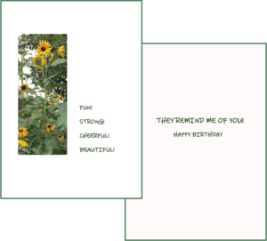 BD Sunflower